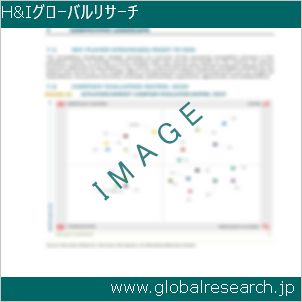 グローバルリサーチ調査レポートのイメージ